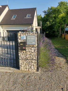 Гостиница Ubytování Tři Vrby  Пасоглавки